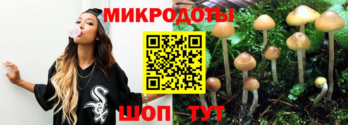 Псилоцибиновые грибы мухоморы Гусь-Хрустальный