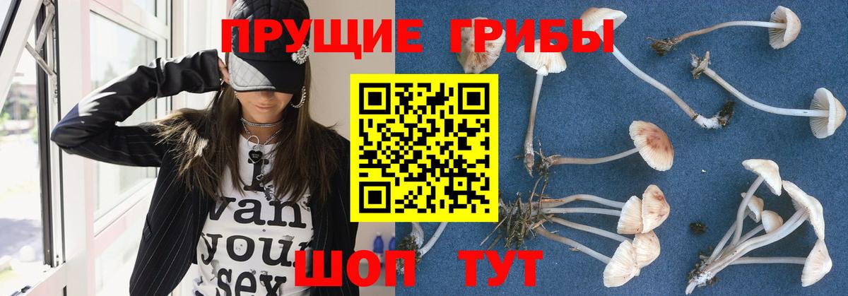 Псилоцибиновые грибы мухоморы  Вход с VPN  Гусь-Хрустальный 